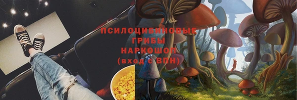 шишки Волоколамск