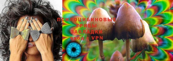 шишки Волоколамск