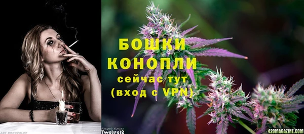 мдпв Володарск