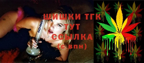 мдпв Володарск