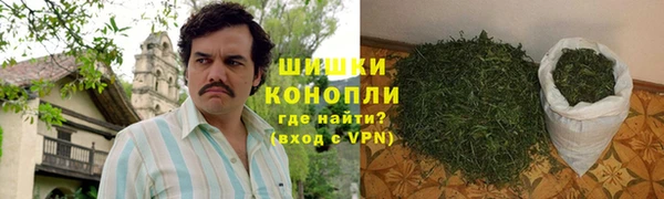 мдпв Володарск